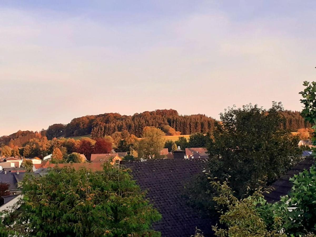 Ferienwohnung Gipfelblick Willingen  Zewnętrze zdjęcie